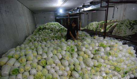 冷庫(kù)儲(chǔ)存蔬菜